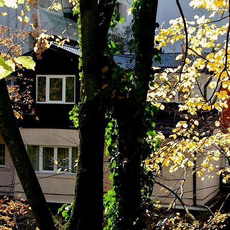 Casa Flandria Otel Sinaia Dış mekan fotoğraf