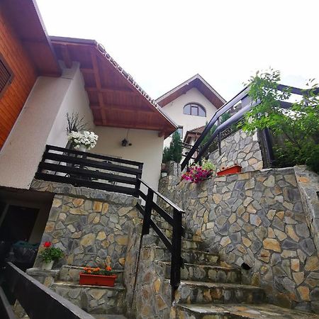 Casa Flandria Otel Sinaia Dış mekan fotoğraf