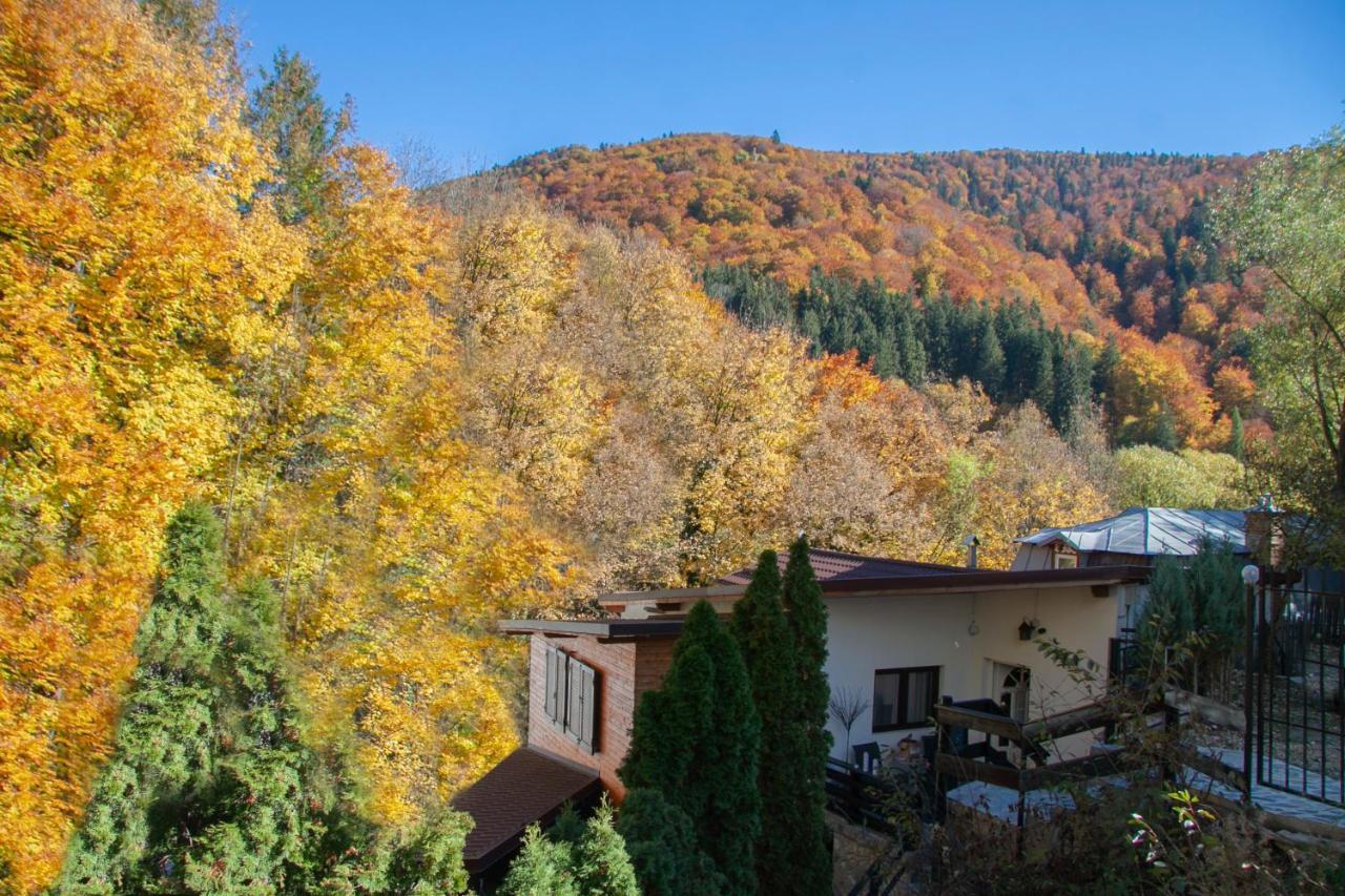 Casa Flandria Otel Sinaia Dış mekan fotoğraf