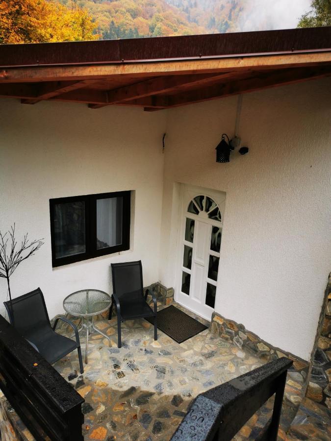 Casa Flandria Otel Sinaia Dış mekan fotoğraf