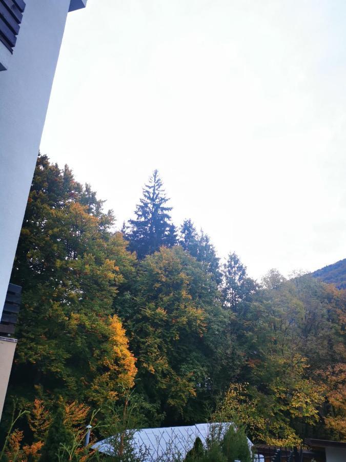 Casa Flandria Otel Sinaia Dış mekan fotoğraf