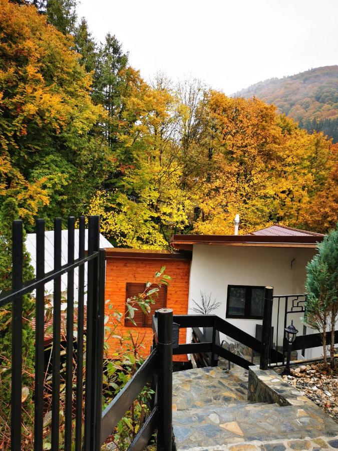Casa Flandria Otel Sinaia Dış mekan fotoğraf