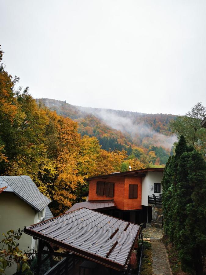 Casa Flandria Otel Sinaia Dış mekan fotoğraf