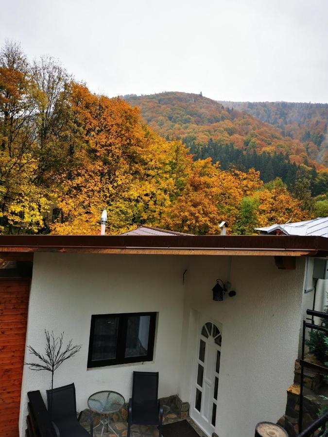 Casa Flandria Otel Sinaia Dış mekan fotoğraf