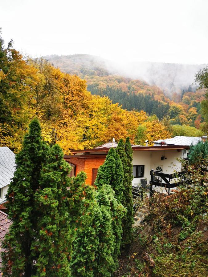 Casa Flandria Otel Sinaia Dış mekan fotoğraf
