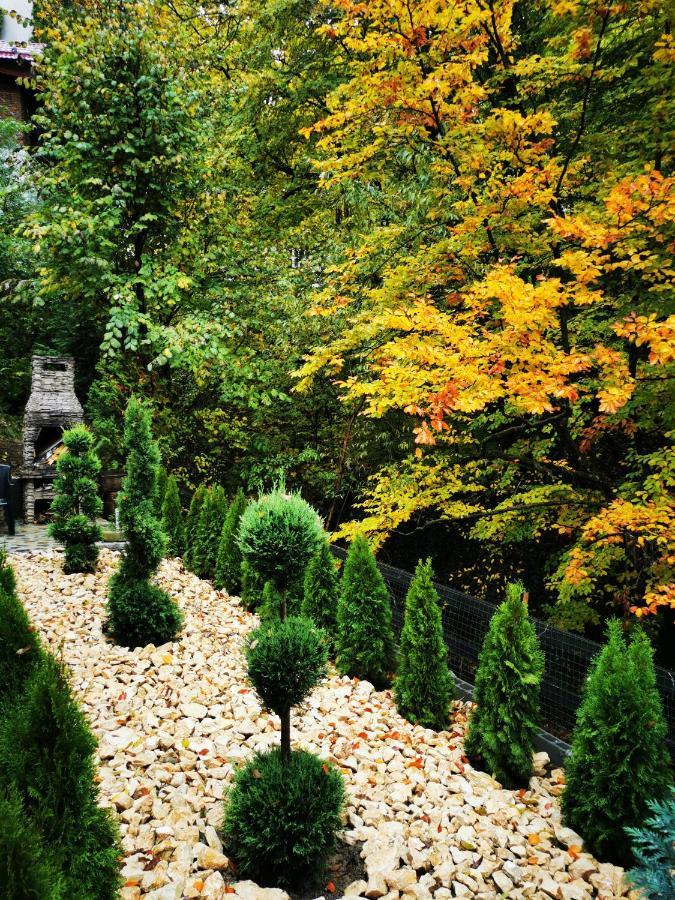 Casa Flandria Otel Sinaia Dış mekan fotoğraf