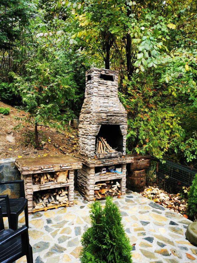 Casa Flandria Otel Sinaia Dış mekan fotoğraf