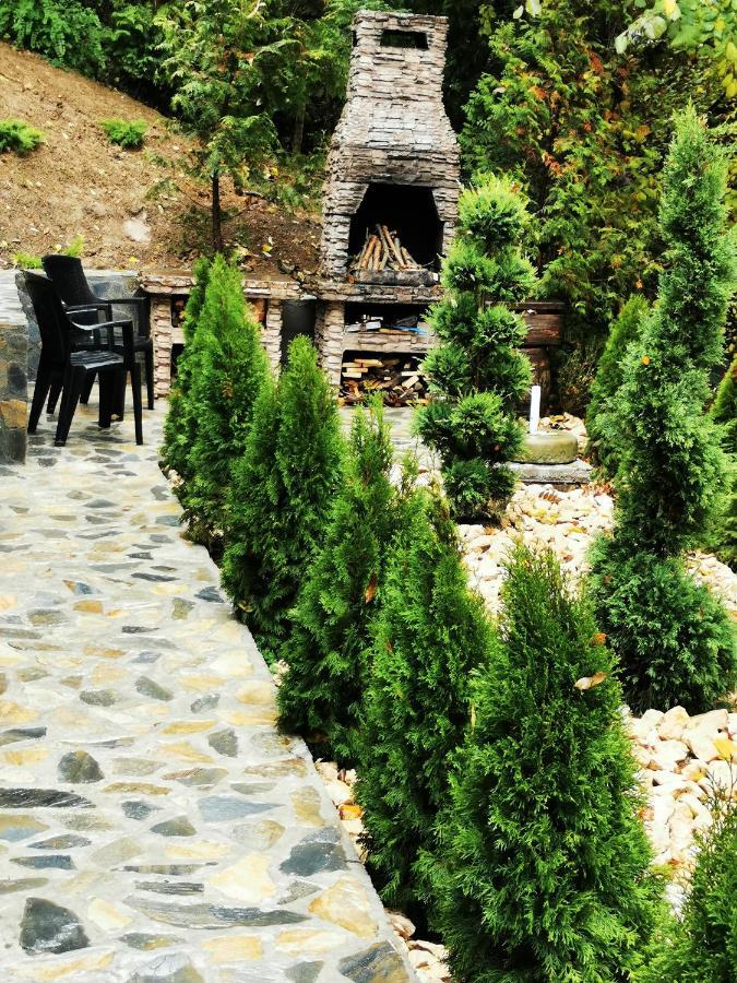 Casa Flandria Otel Sinaia Dış mekan fotoğraf