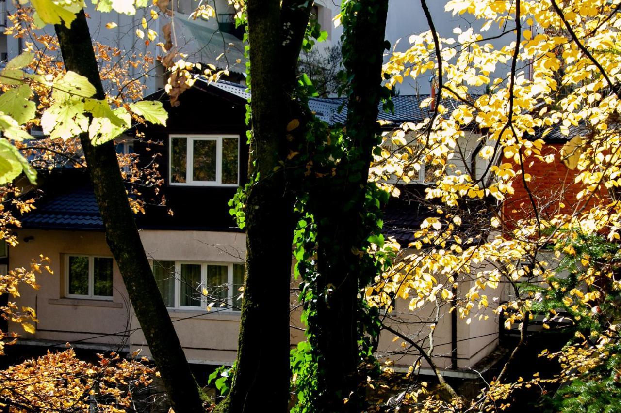 Casa Flandria Otel Sinaia Dış mekan fotoğraf