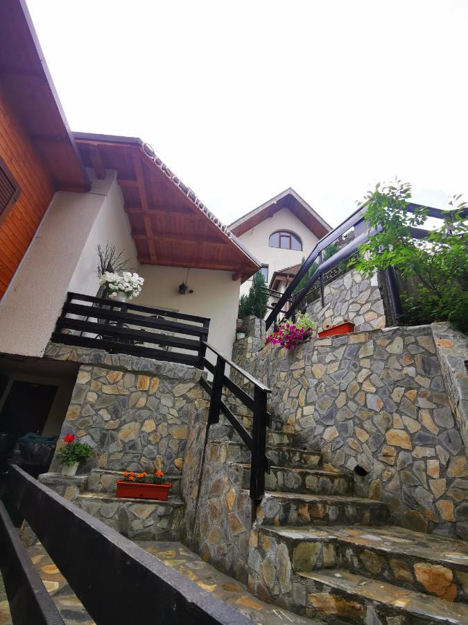 Casa Flandria Otel Sinaia Dış mekan fotoğraf