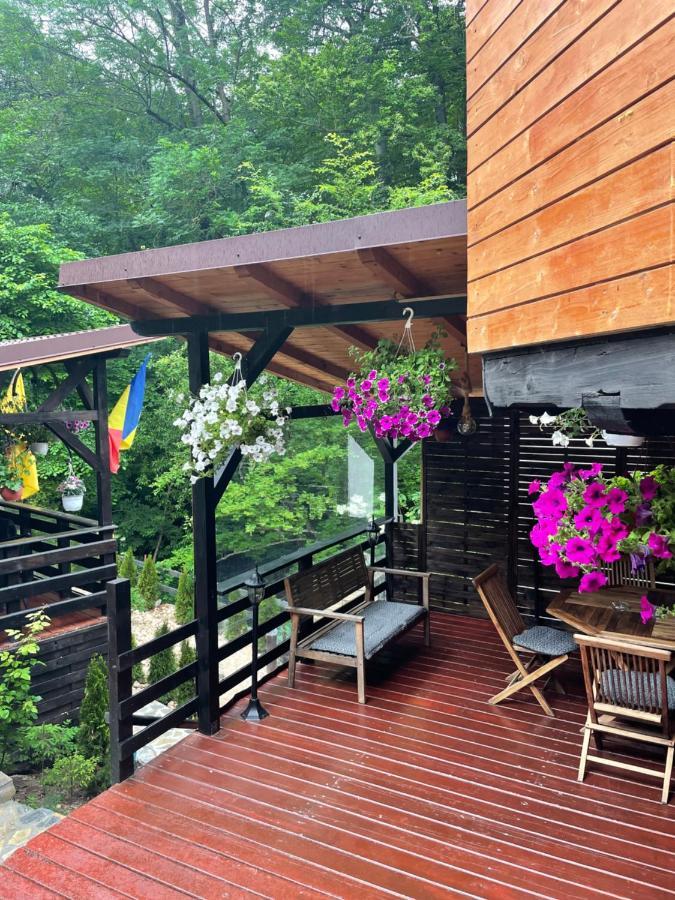 Casa Flandria Otel Sinaia Dış mekan fotoğraf