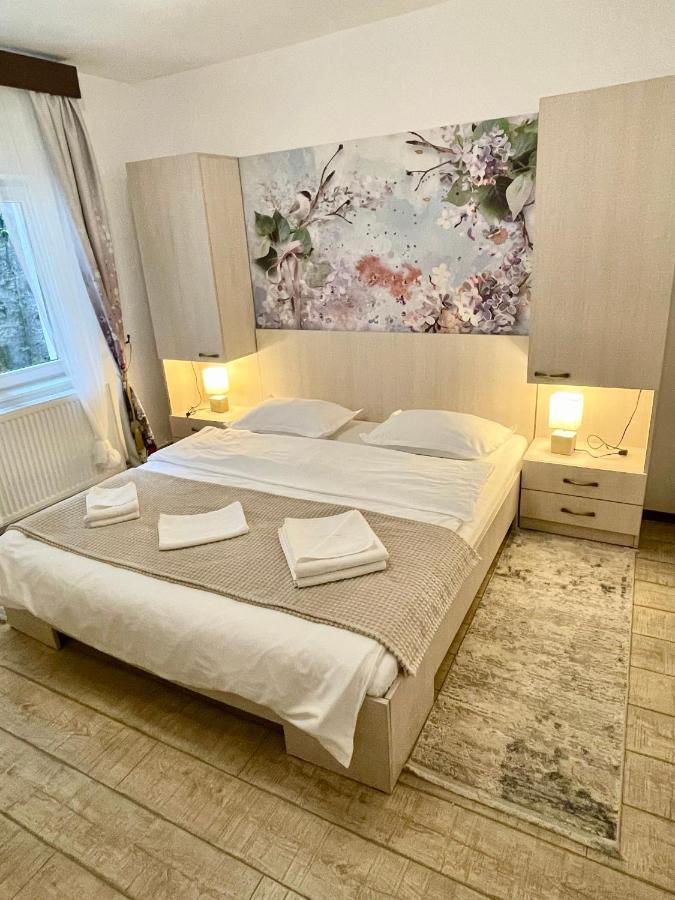 Casa Flandria Otel Sinaia Dış mekan fotoğraf