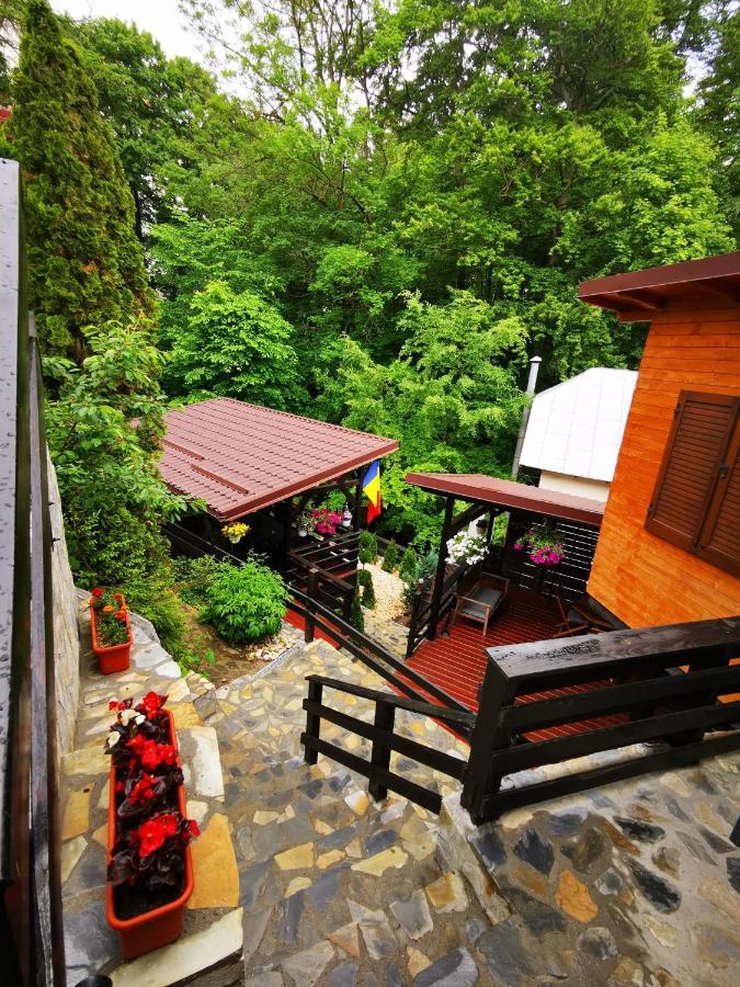 Casa Flandria Otel Sinaia Dış mekan fotoğraf