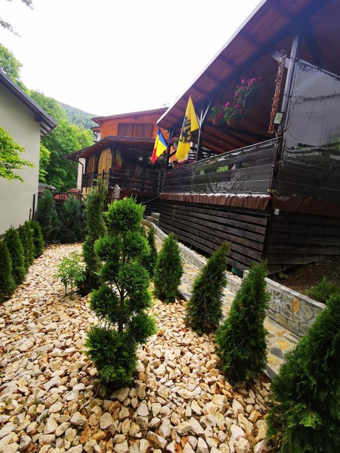 Casa Flandria Otel Sinaia Dış mekan fotoğraf