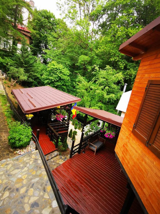 Casa Flandria Otel Sinaia Dış mekan fotoğraf