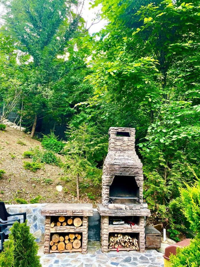 Casa Flandria Otel Sinaia Dış mekan fotoğraf