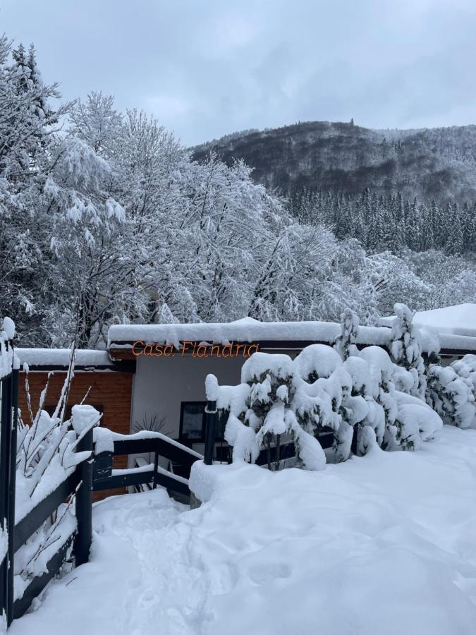 Casa Flandria Otel Sinaia Dış mekan fotoğraf