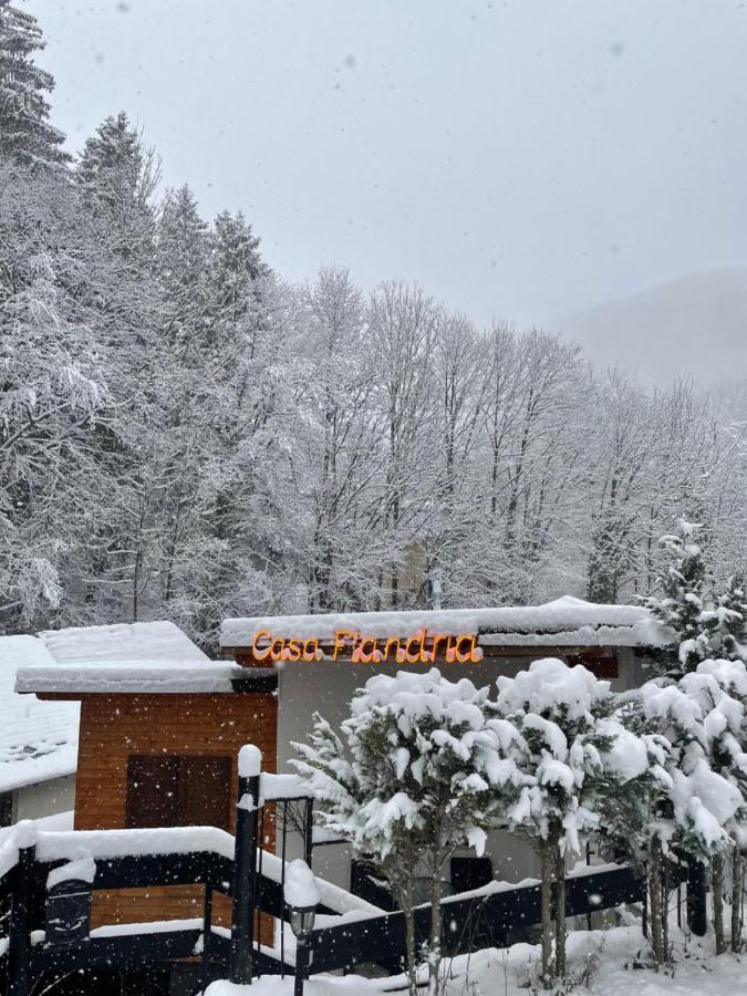 Casa Flandria Otel Sinaia Dış mekan fotoğraf